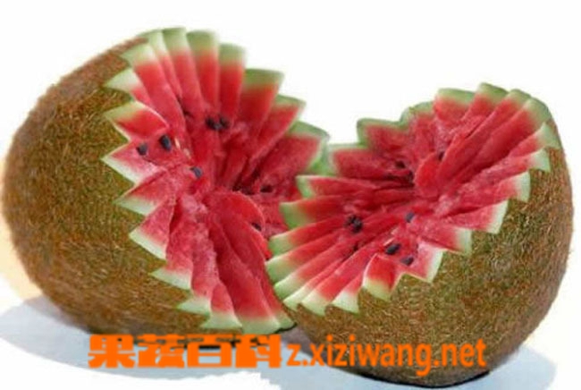 ���߰ٿ�ʮ���ж�����