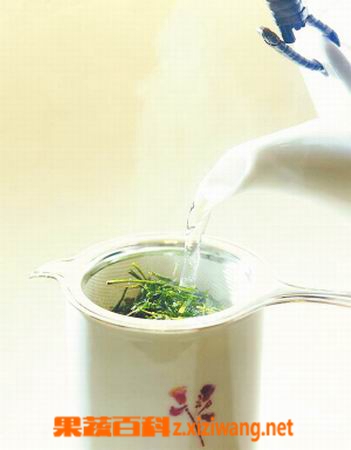 ���߰ٿ�����̲�Ĺ�Ч������