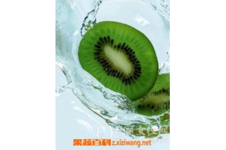 ⨺���֭��