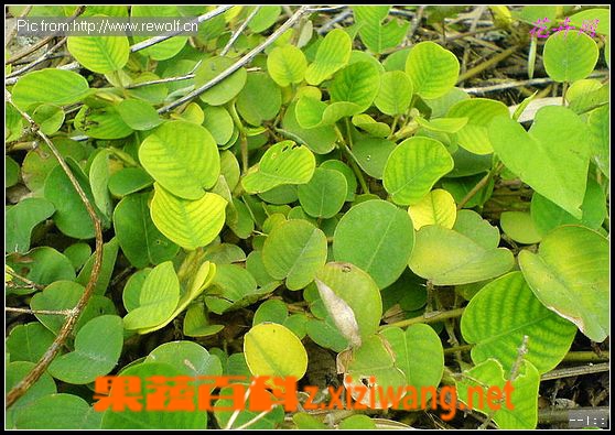 ���߰ٿƽ�Ǯ��