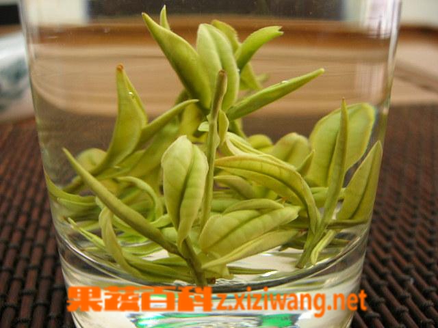 ���߰ٿ�������Ĳ���������