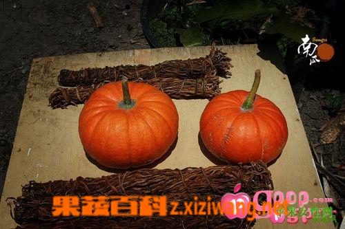 ���߰ٿ��Ϲϵ�ҩ�ü�ֵ