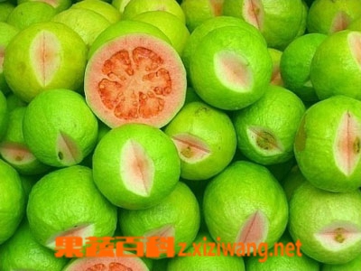 ���߰ٿ��޻����Ĺ�Ч������
