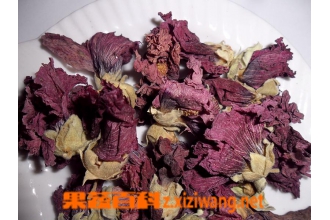 ����������ܺ���������ı��淽��
