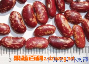 ���߰ٿ�ܿ���Ĺ�Ч������