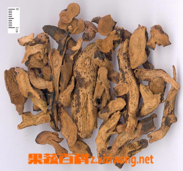 ���߰ٿƹ��鲹�Ĺ�Ч������