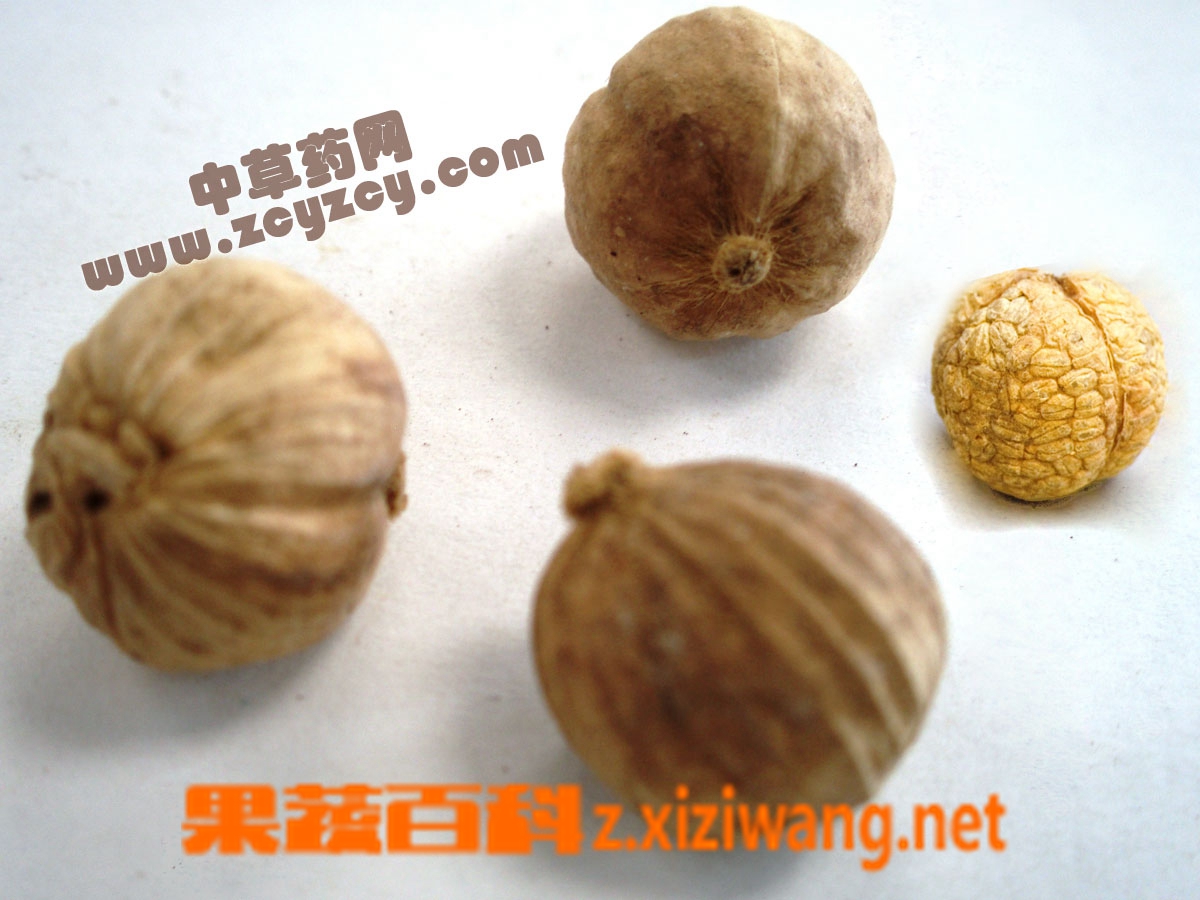 ���߰ٿƸʲ�Ƭ�Ĺ�Ч������