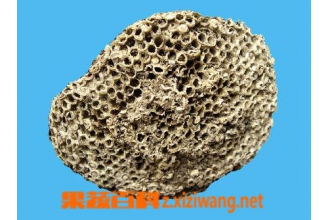 ¶�䷿�Ĺ�Ч������