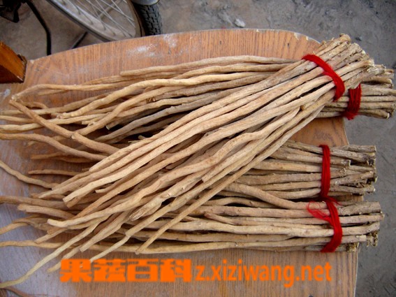 ���߰ٿ�ţϥ�������빦Ч