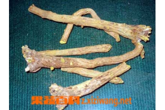 ���˵Ĺ�Ч������