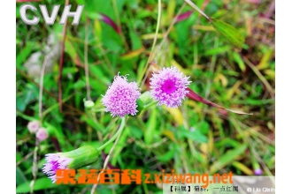 ����ݵĹ�Ч������