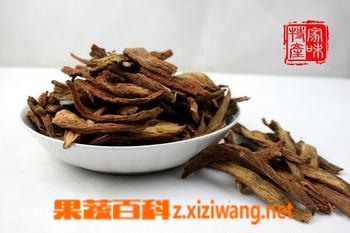 ���߰ٿƵ���Ƭ