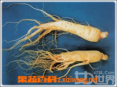 ���߰ٿƻ����