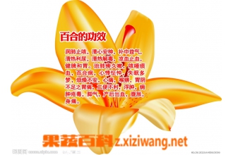 �ٺϻ���Ĺ�Ч