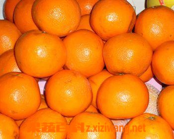 ���߰ٿ����Ӷ�����Щ�����ĳԷ���
