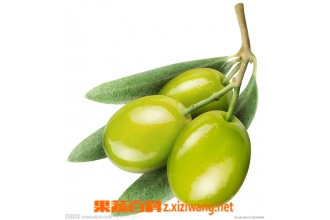 ��魵�Ӫ����ֵ��ҩ�ü�ֵ