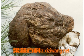 ����Ĺ�Ч������ ������ٱ��