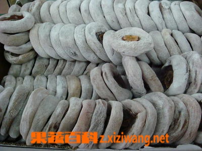 ���߰ٿƸ����ӱ����������� �����ӱ������