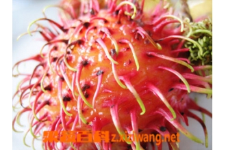 ��ë����ô�� ��ë���и��ܳ��� 