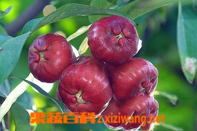 ���߰ٿ������ó��� ������ô�� �и��ܳ�������