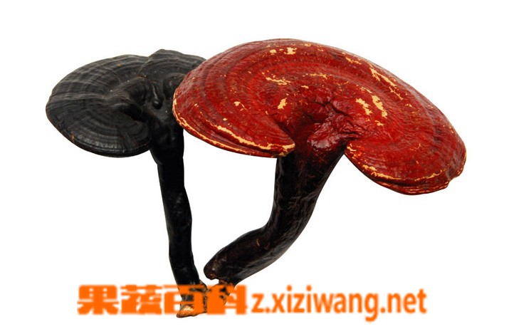 ���߰ٿ���֥