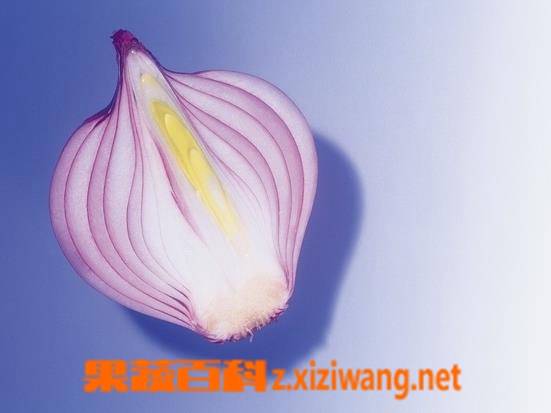 ���߰ٿ�����������ٵĹ�Ч������