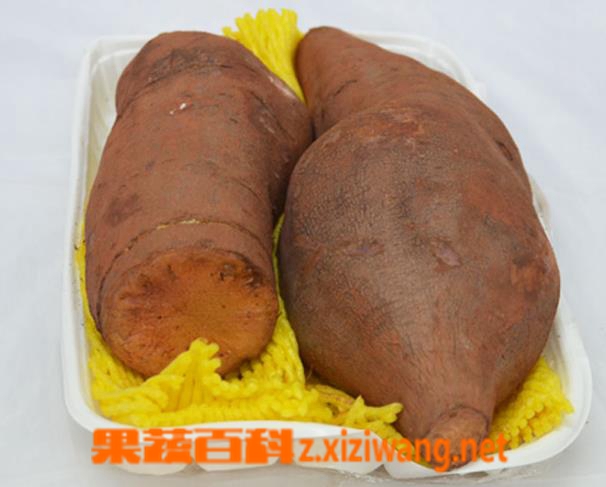 ���߰ٿ�ѩ������Ӫ����ֵ��Щ 