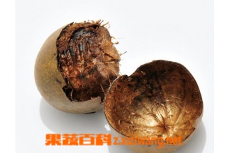 �޺�����ˮ�ȵ����ú͸�����