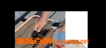 ���߰ٿ���̨��ֲ���˷�������̳� 