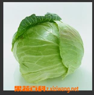 ���߰ٿƾ��Ĳ�Ӫ����ֵ�͹�Ч���� 