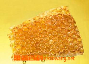 ���߰ٿƷ佺������