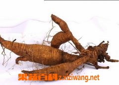 ���߰ٿƸ���Ĺ�Ч�����ü�ʳ�÷��� 