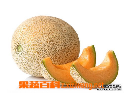 ���߰ٿƹ��ܹϵĹ�Ч������ 