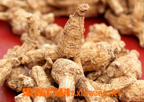 ���߰ٿƻ����