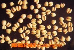 ޲���ʵĹ�Ч������