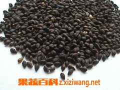 ���߰ٿƿ�����