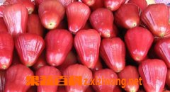 ���߰ٿ�����