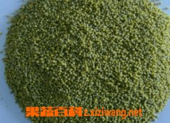 ��С�׵�Ӫ����ֵ�ͳԷ�