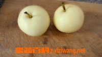 ���߰ٿưٺ�ѩ�����Ĺ�Ч������