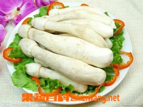 果蔬百科鸡腿菇