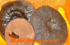 ���߰ٿ�Ұ����֥