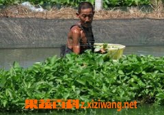 ���߰ٿ�ˮ޳��