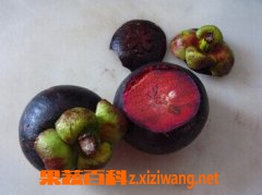 ɽ��Ƥ�ܳ��� ɽ��Ƥ��ô��