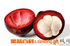 ɽ��Ƥ��Ӫ����ֵ�͹�Ч����