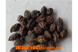 ڭ�ӵĹ�Ч������