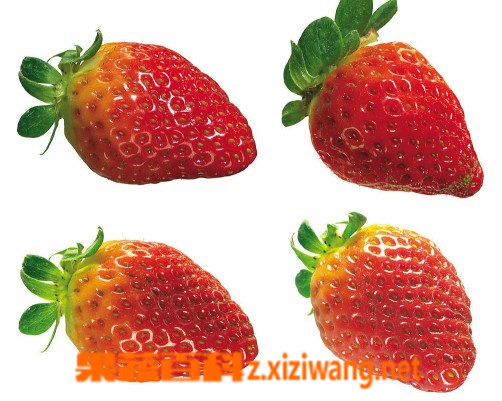 ���߰ٿƲ�ݮ