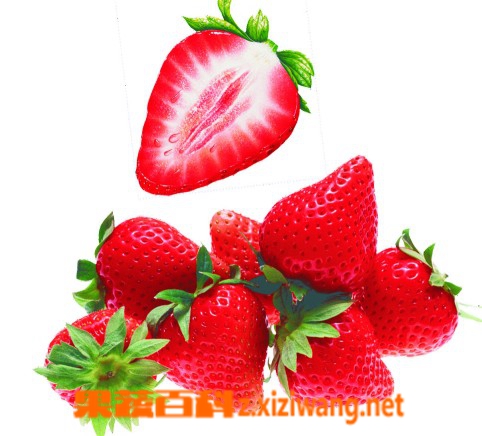 ���߰ٿƲ�ݮ