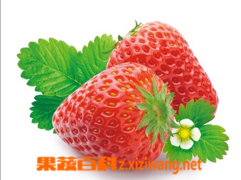 ���߰ٿƲ�ݮ