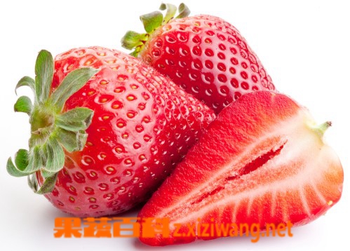 ���߰ٿƲ�ݮ