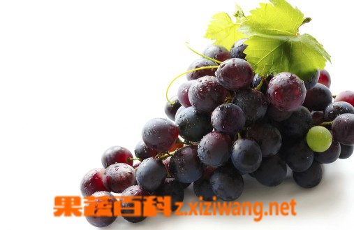 ���߰ٿ�����,���Ѿ�